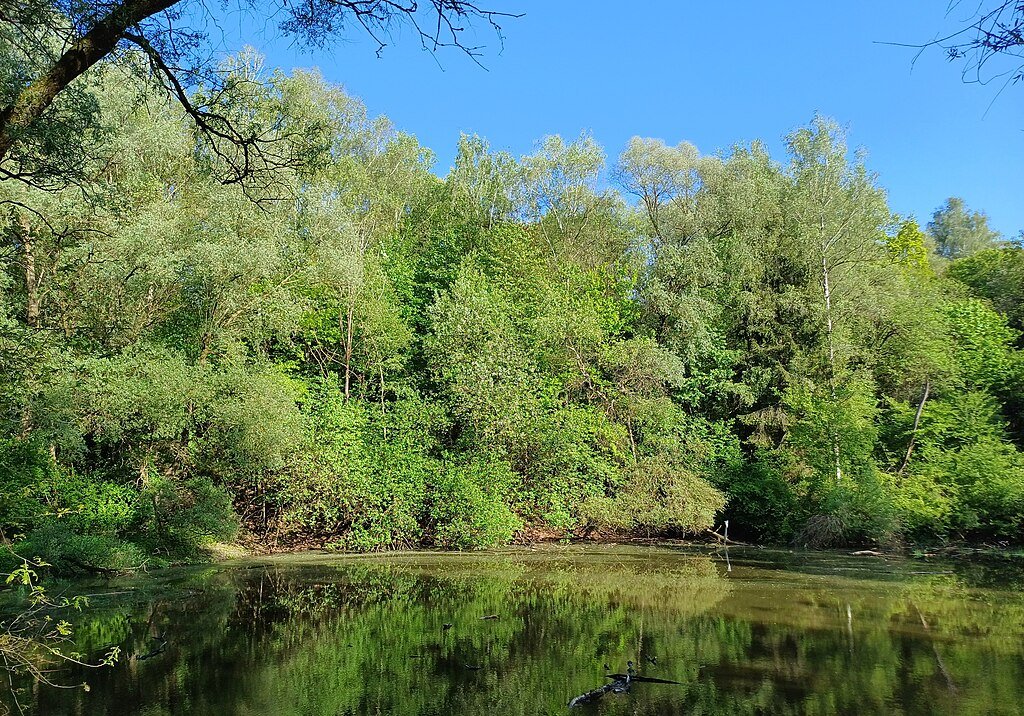 Photo taken by Galaxy A34 of Brunnenberg beim Oggenhof