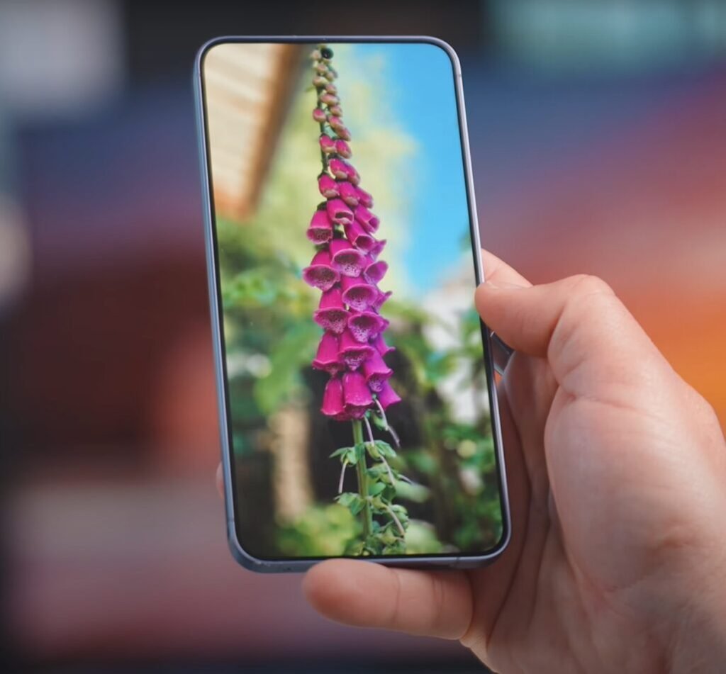 Tela do Galaxy S24+ em mãos mostrando foto de flor em grande explosão de cores